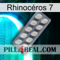 Rhinocéros 7 08